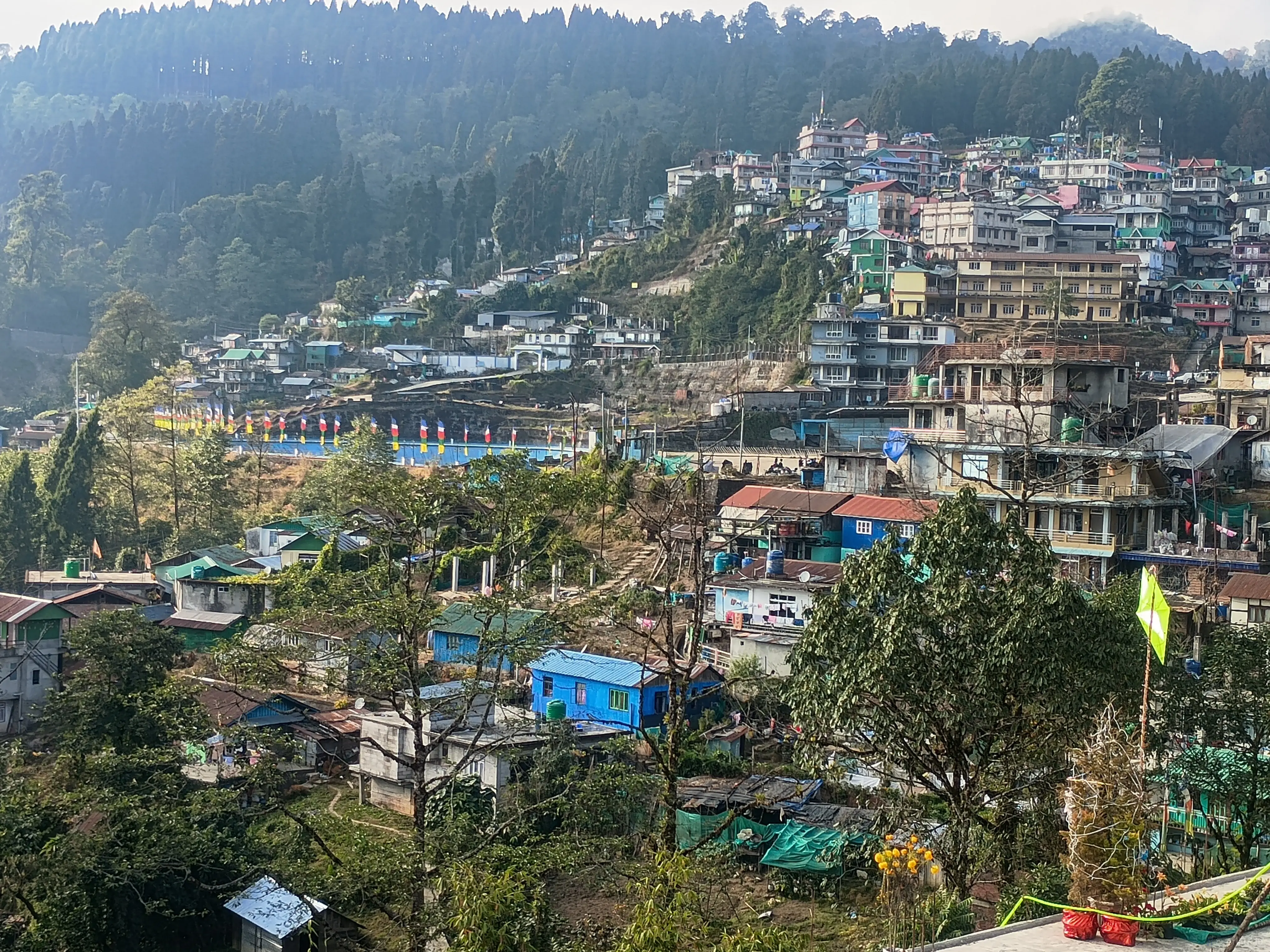 Afternoon view at Rishop with forested hills