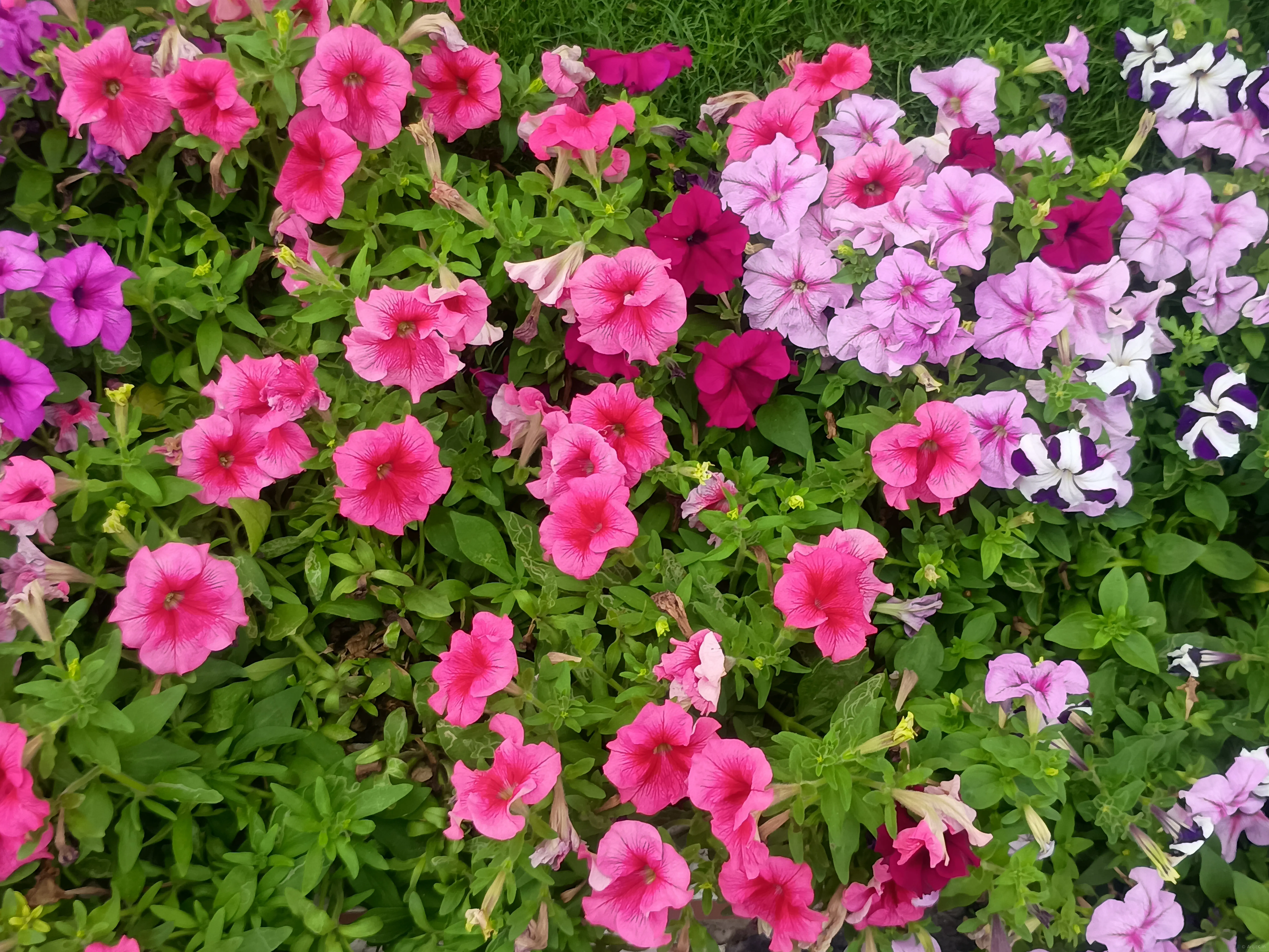Photo taken on March 2, 2026