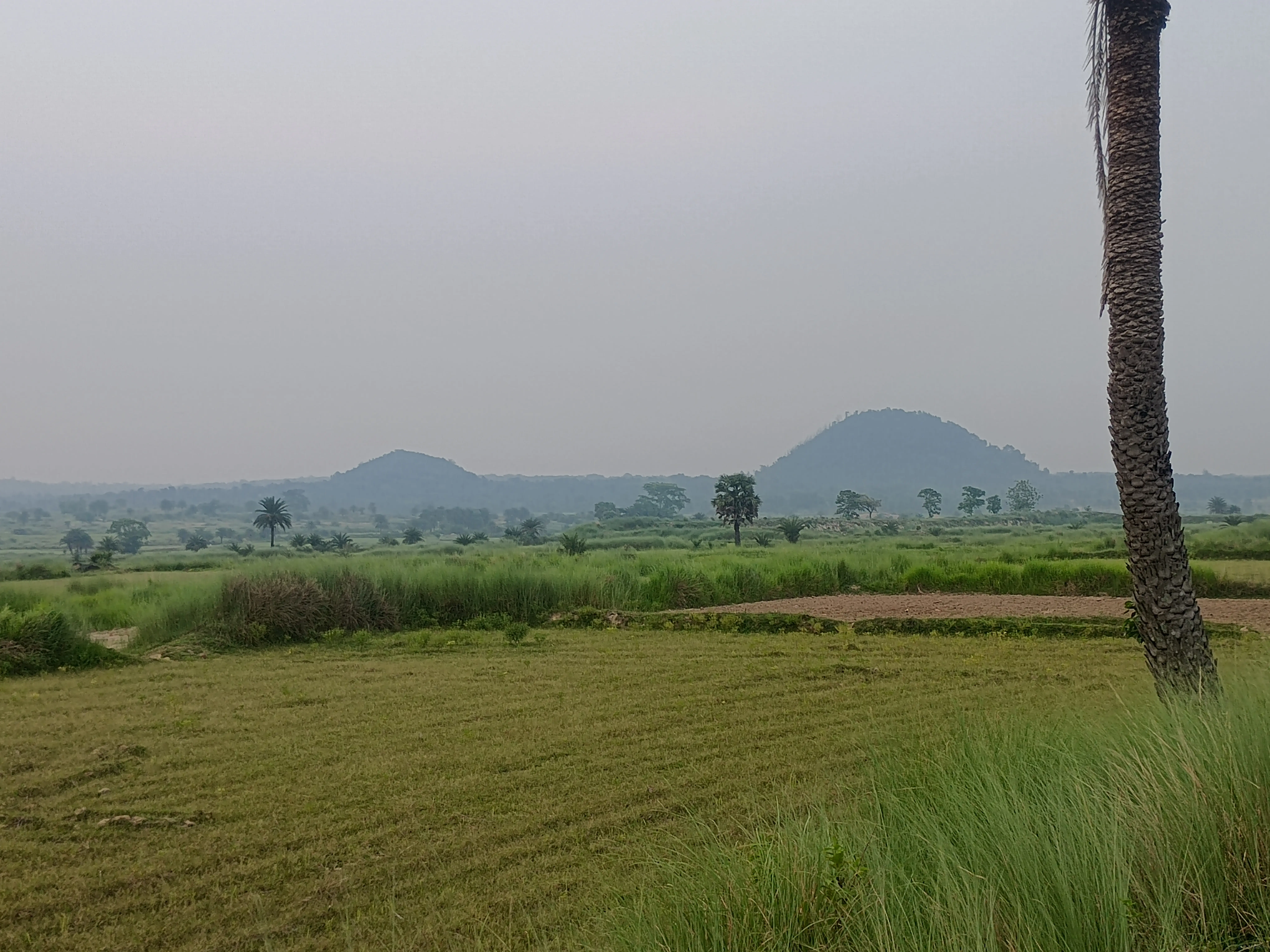 Scenic terrain at Paharpur with natural formations