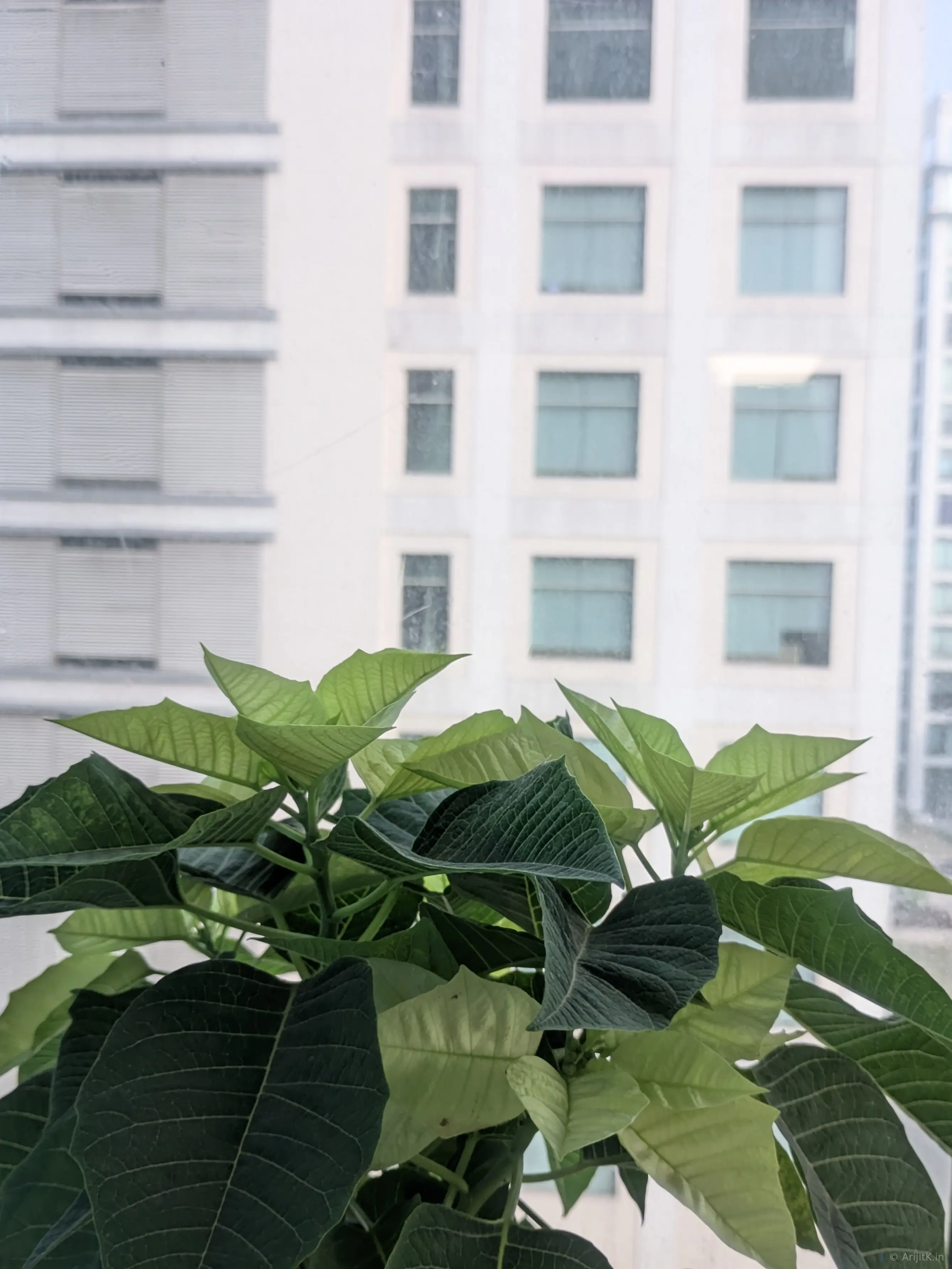 Interior view of RDB Primarc Techno Park building