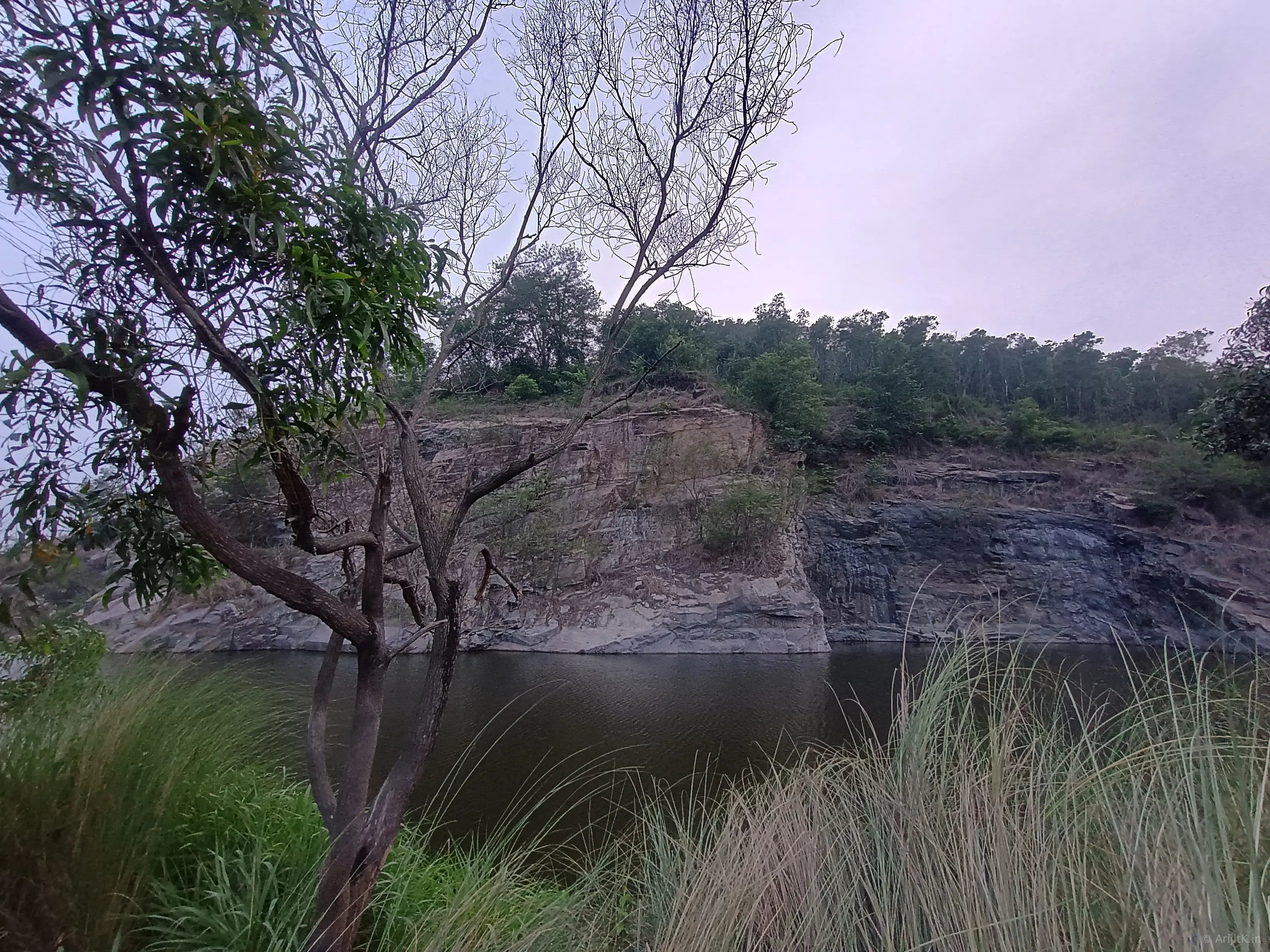 Scenic landscape view of Paharpur village with green fields