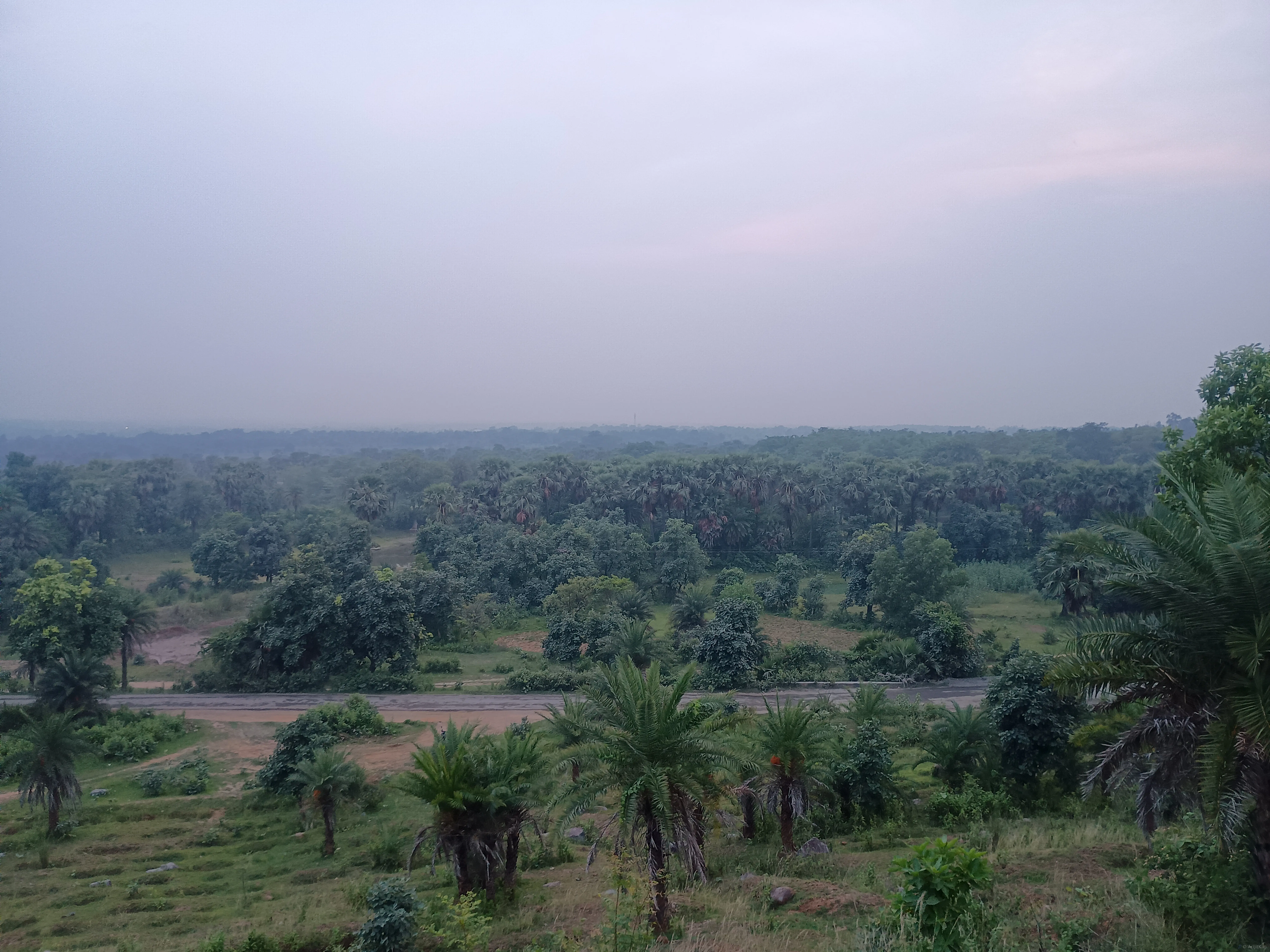 Wide angle view of Paharpur terrain with dry vegetation