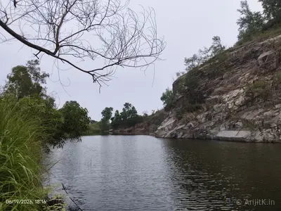 River with rocky cliff and bare tree